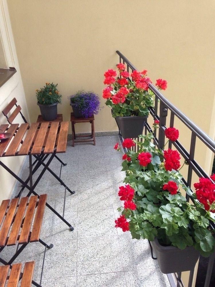 Apartamento Old Town - Dusni
